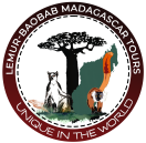 LEMUR-BAOBAB MADAGASCAR